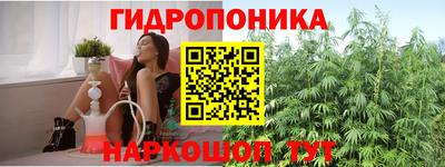 прущая мука Кимры