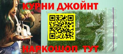 мяу мяу мука Кингисепп